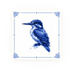 Kingfisher Classic