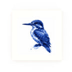 Kingfisher None