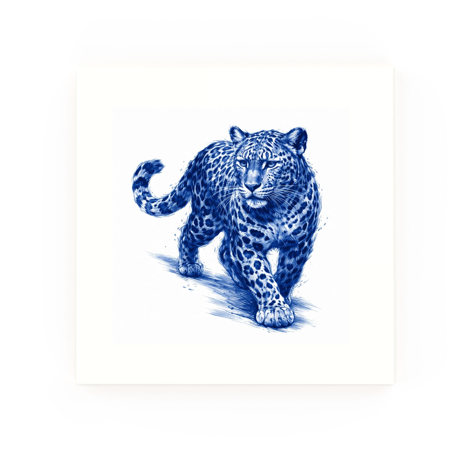 Leopard None
