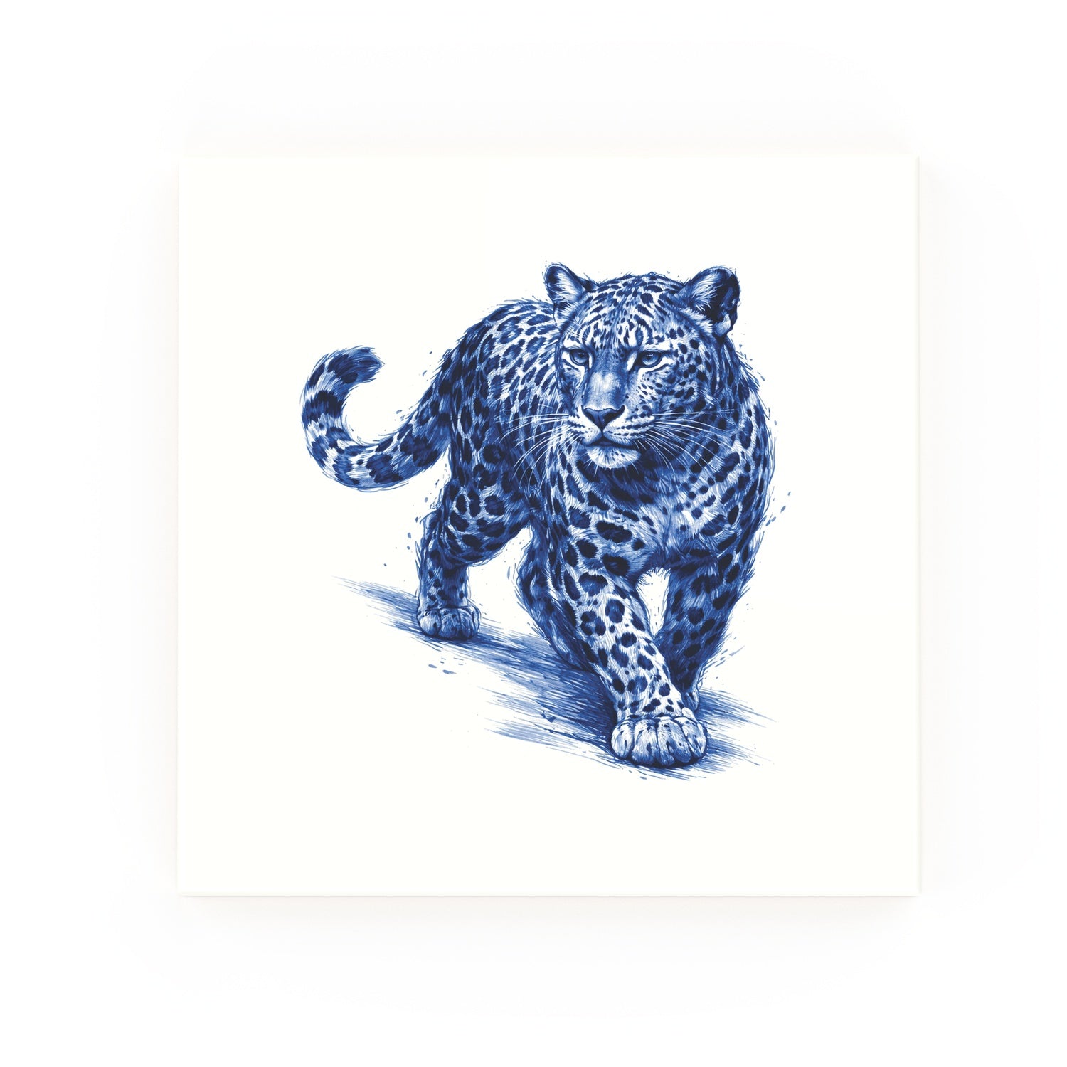 Leopard None