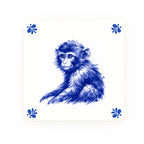 Monkey Modern