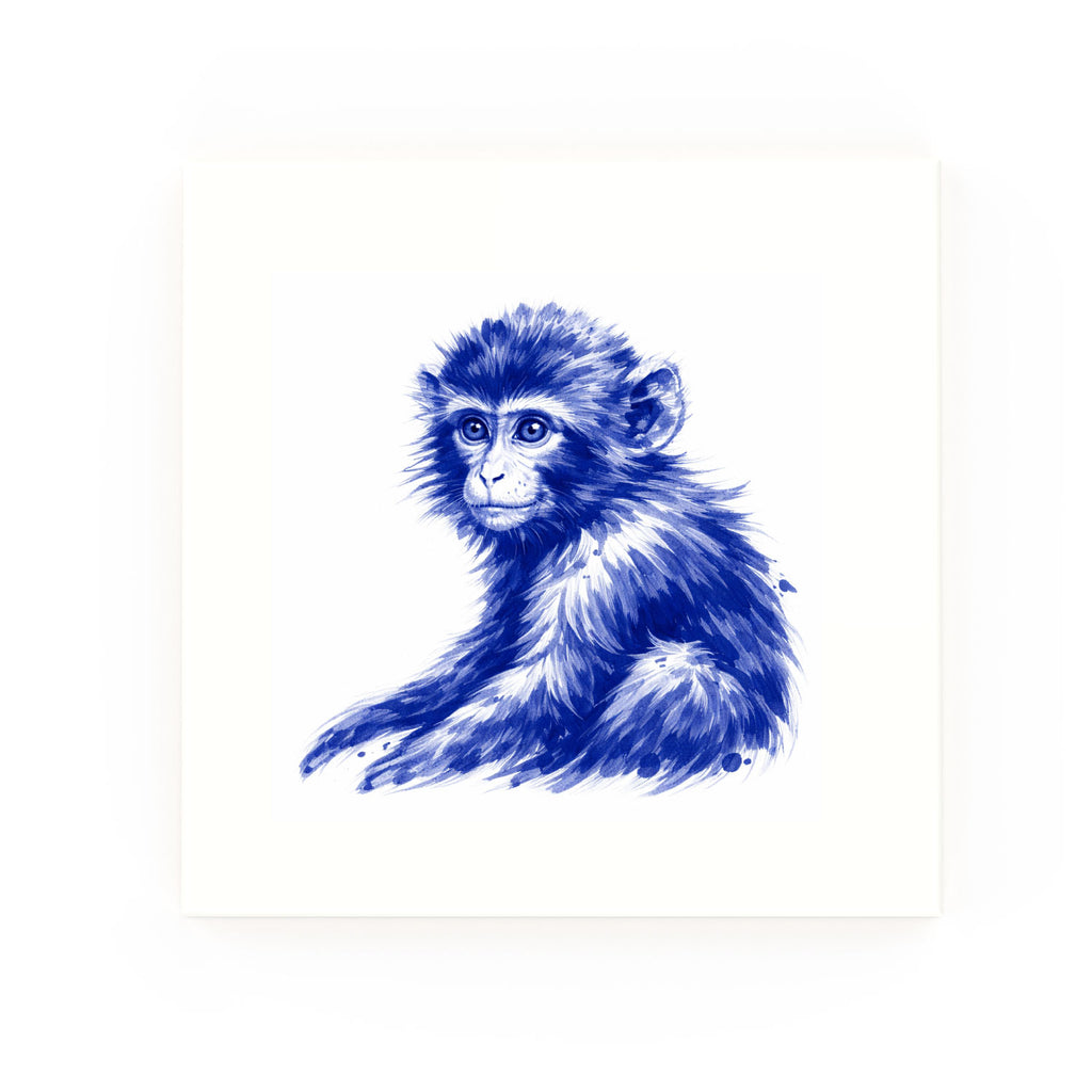 Monkey None