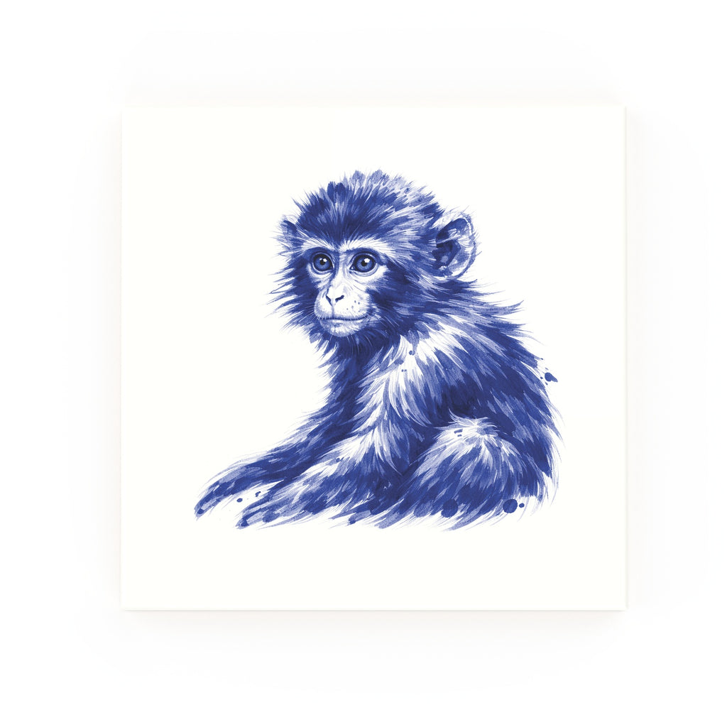 Monkey None