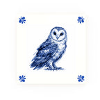 Owl Modern