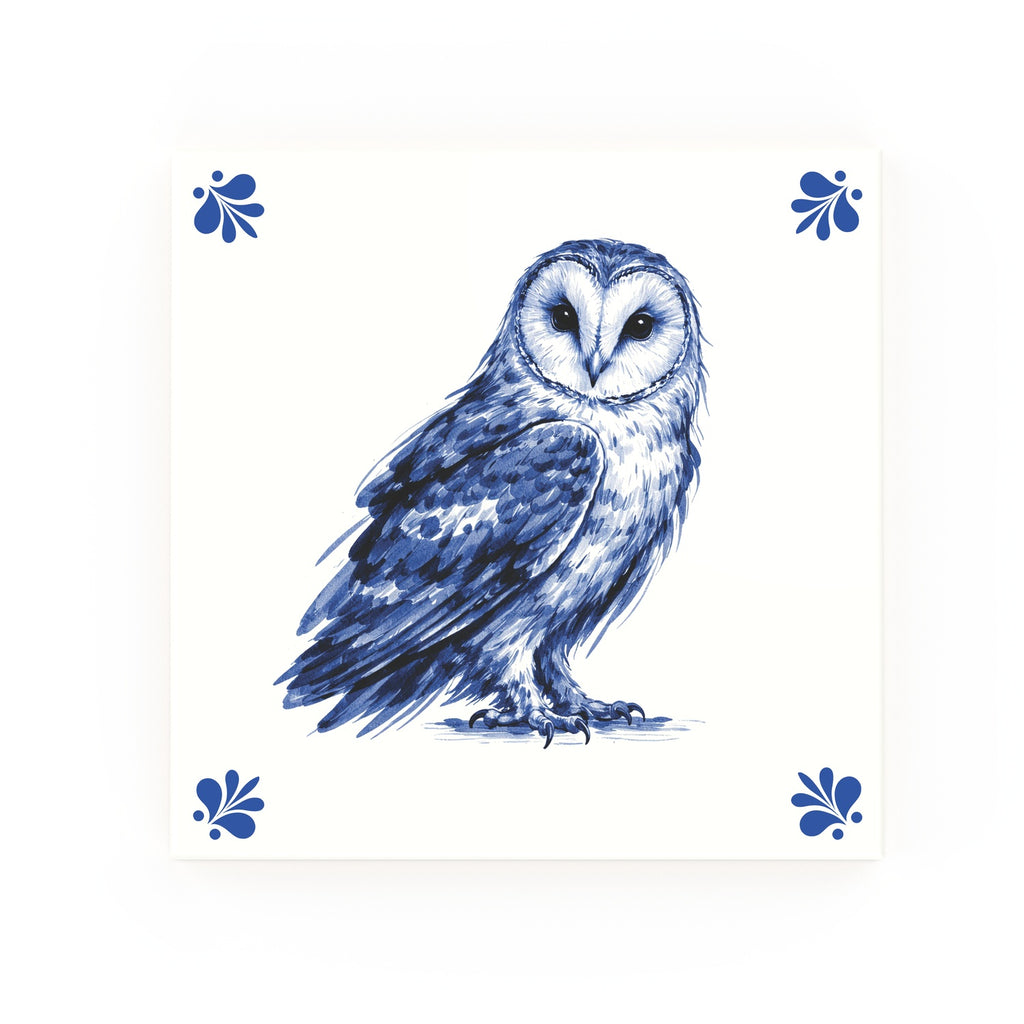 Owl Modern