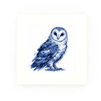 Owl None