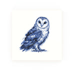Owl None