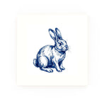 Rabbit None